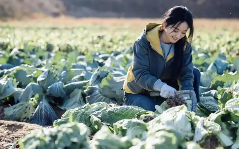 赵丽颖戴过的手套真是五花八门,戴棉纱手套下地干活真的接地气!