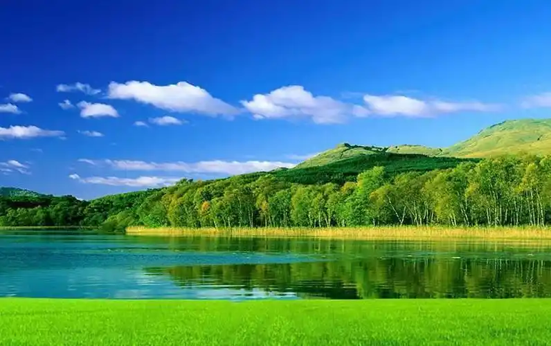 元宵节后福运无数3大属相旺财多多运势满满日子美滋滋