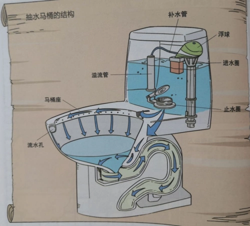 抽水马桶结构            你知道可口可乐是一种配错的药水吗?