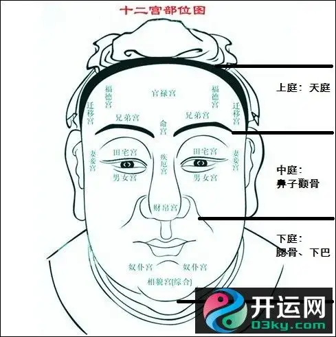 天庭饱满地阁方圆的面相是什么样子的 _面相分析_拓易运势网