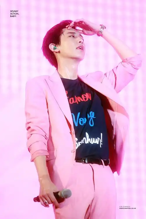 exo 朴灿烈 明星 美男