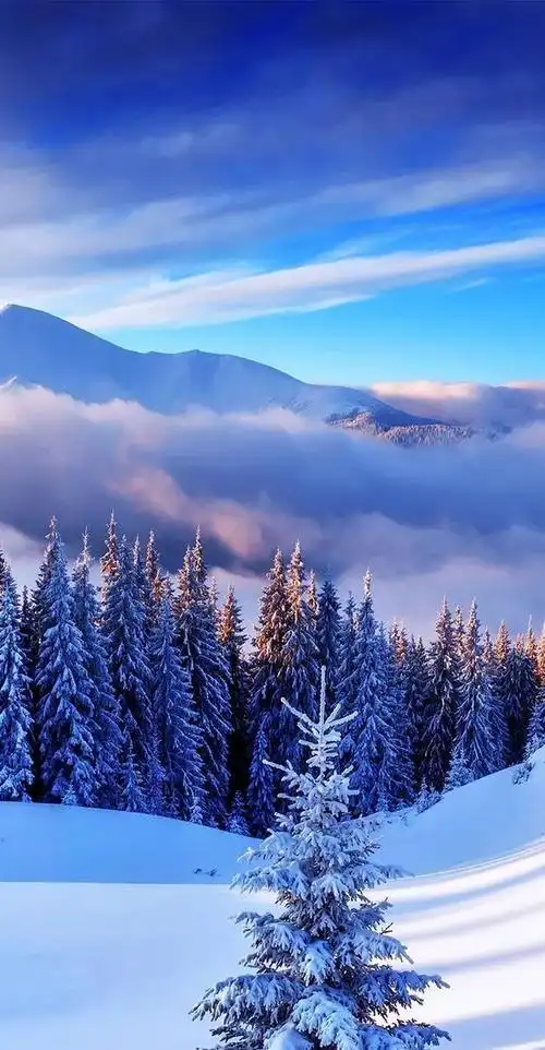风景壁纸壮观的大自然神奇美丽一派壮美的景色令人向往