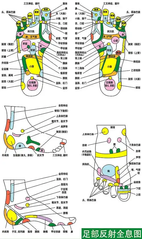 人体足部反射区高清图及足部按摩方法