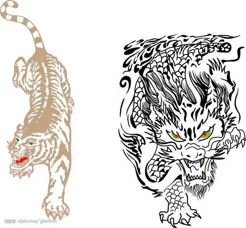 龙虎和规律 龙虎保单子