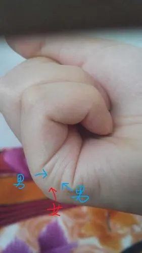 从掌纹看生男生女,十测九准!