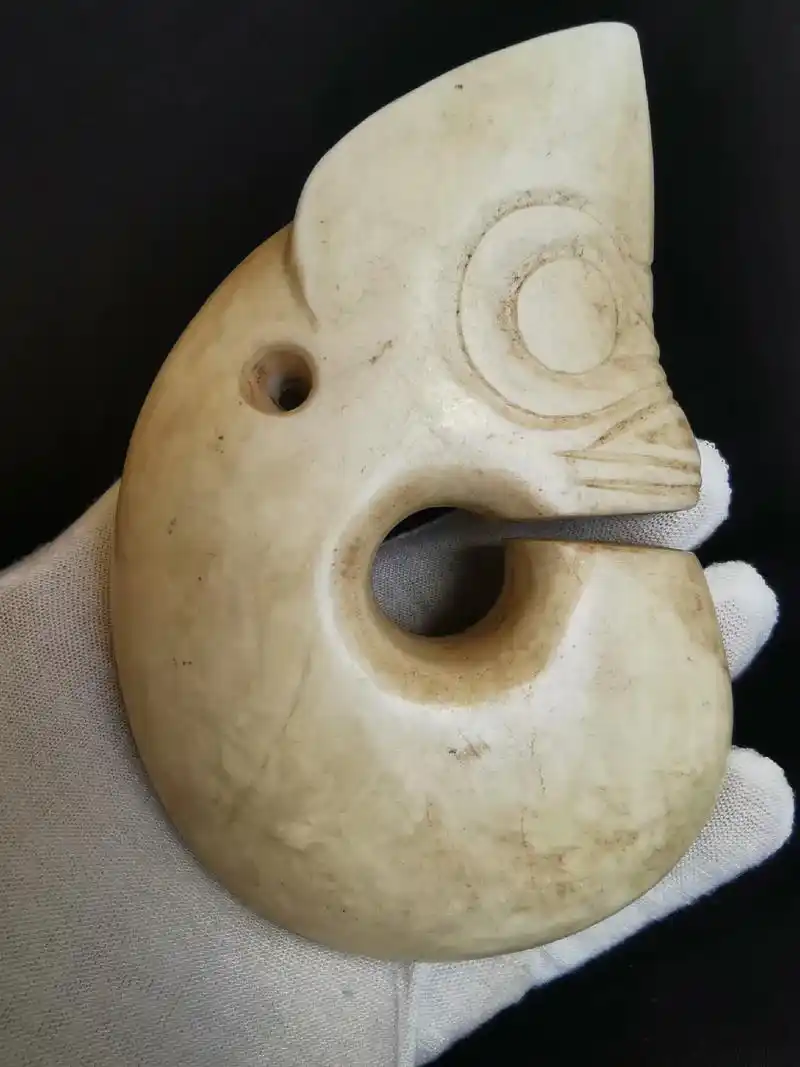 红山玉猪龙.红山文化,鸡骨白玉猪龙,通高11cm,宽7.7c - 抖音