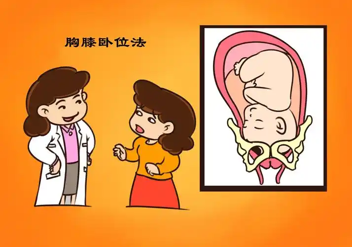 胎位不正只能剖腹产吗?孕32周以前是"挽救黄金期",错过难纠正_胎儿