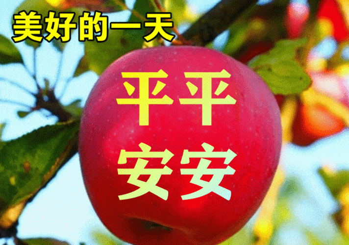 最漂亮早上好动态表情图片大全早晨好动图美图大全