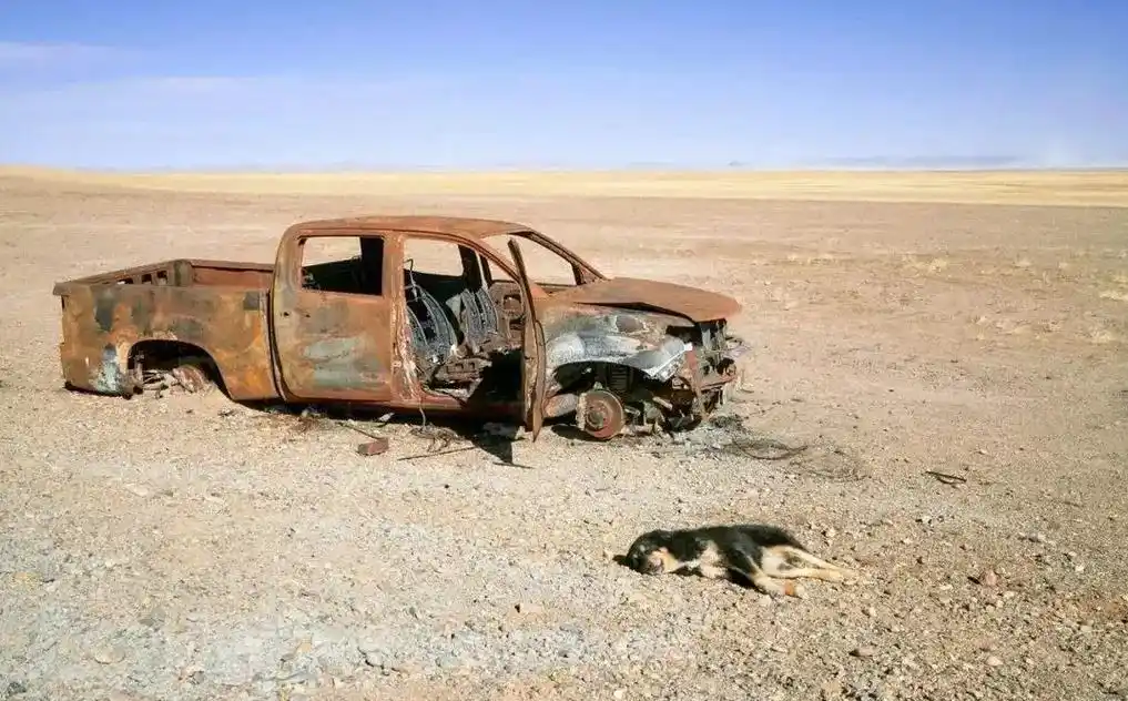 羌塘无人区有多可怕的地方(西藏最大无人区到底有多恐怖)-和顺网