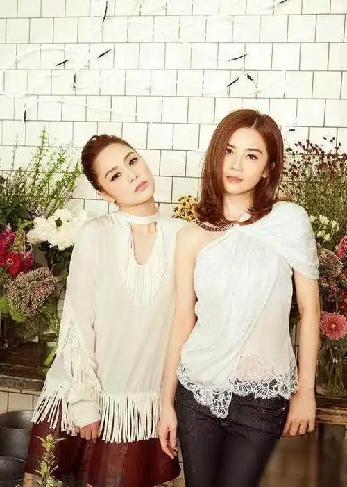 国内"长命"的5大组合:除了凤凰传奇,剩下4组都被怀疑早已解