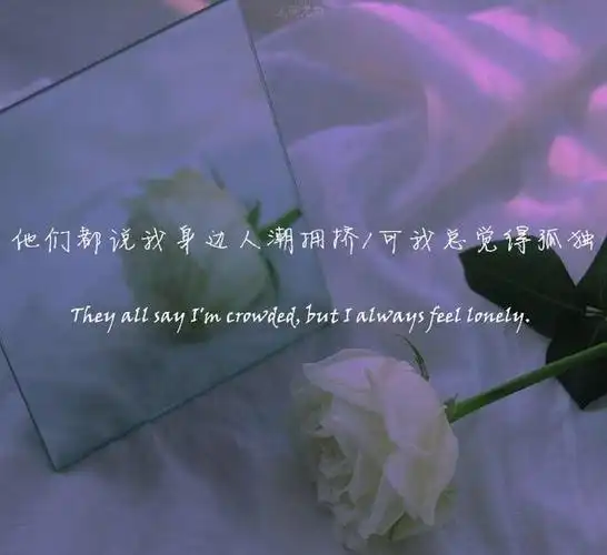 深夜一人看的孤独句子,心酸不已,看完失落满满!