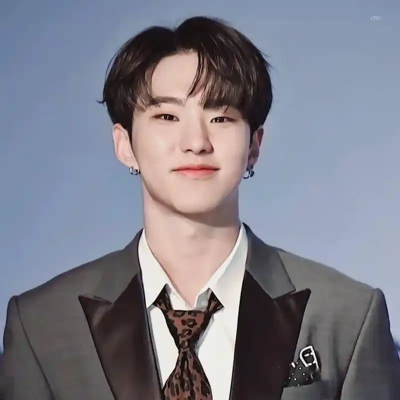 微信头像seventeen权顺荣