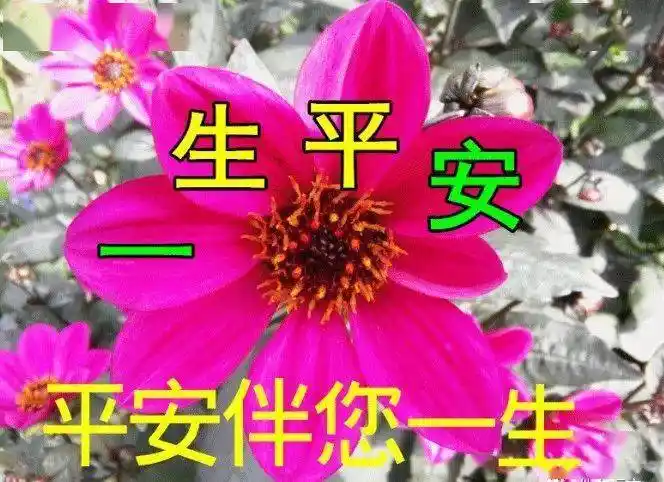 祝福朋友健健康康身体好平平安安一辈子
