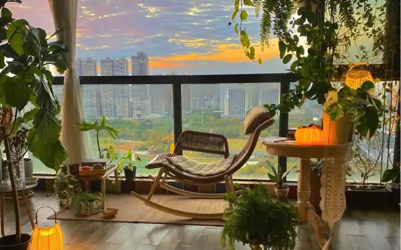 秋日宅家,欢迎来到我的秘密花园,太惬意了.