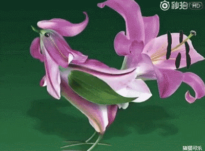 gif分享给你们! 可以分开发好多次给爸妈! 弹出式文字是不变的"经 ""