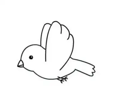 幼儿园画小鸟简笔画图片大全