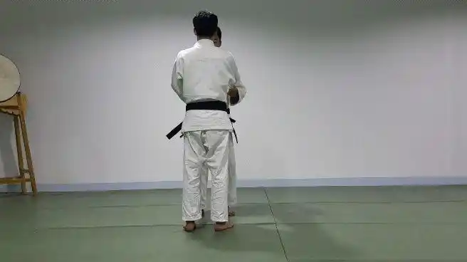 柔道终极奥义之崩作挂