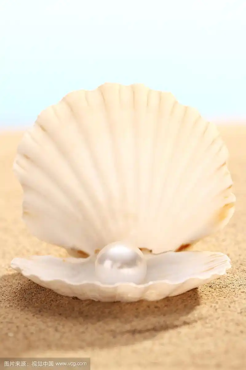 贝壳珍珠