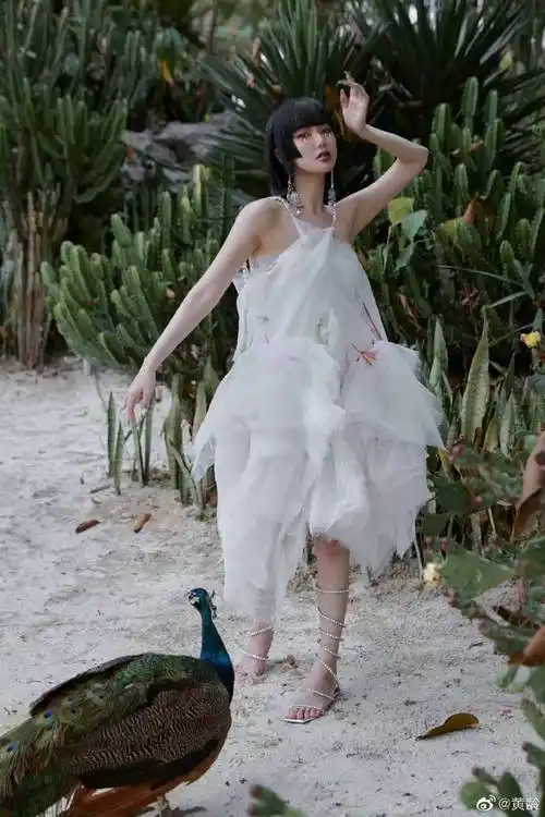 黄龄说我哭只是因为有点痛