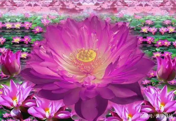 净土法门:自性里头第一德就是爱