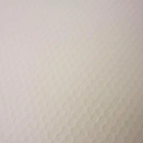 得力高 亚森4k水粉纸 160g水粉纸 4开加厚纸20张/包 美术油画