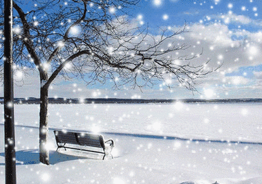 400_282gif 动态图 动图