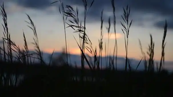 【wallpaper】静态壁纸分享 《氛围篇》 三连私聊,直接发原图