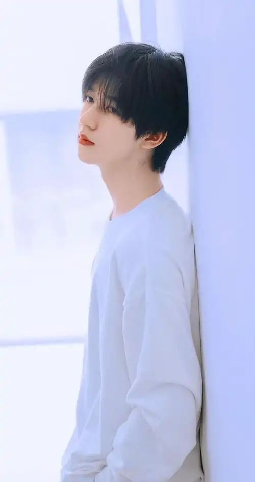 有没有贺峻霖的神图