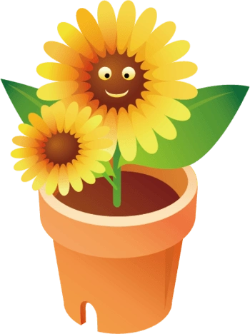 卡通向日葵