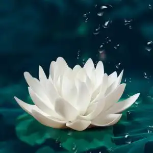 陶瓷观音佛像供花仿真花白莲花禅意车载摆件佛教佛前车饰白色荷花