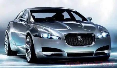 老虎头是什么牌子汽车(捷豹汽车)  第2张