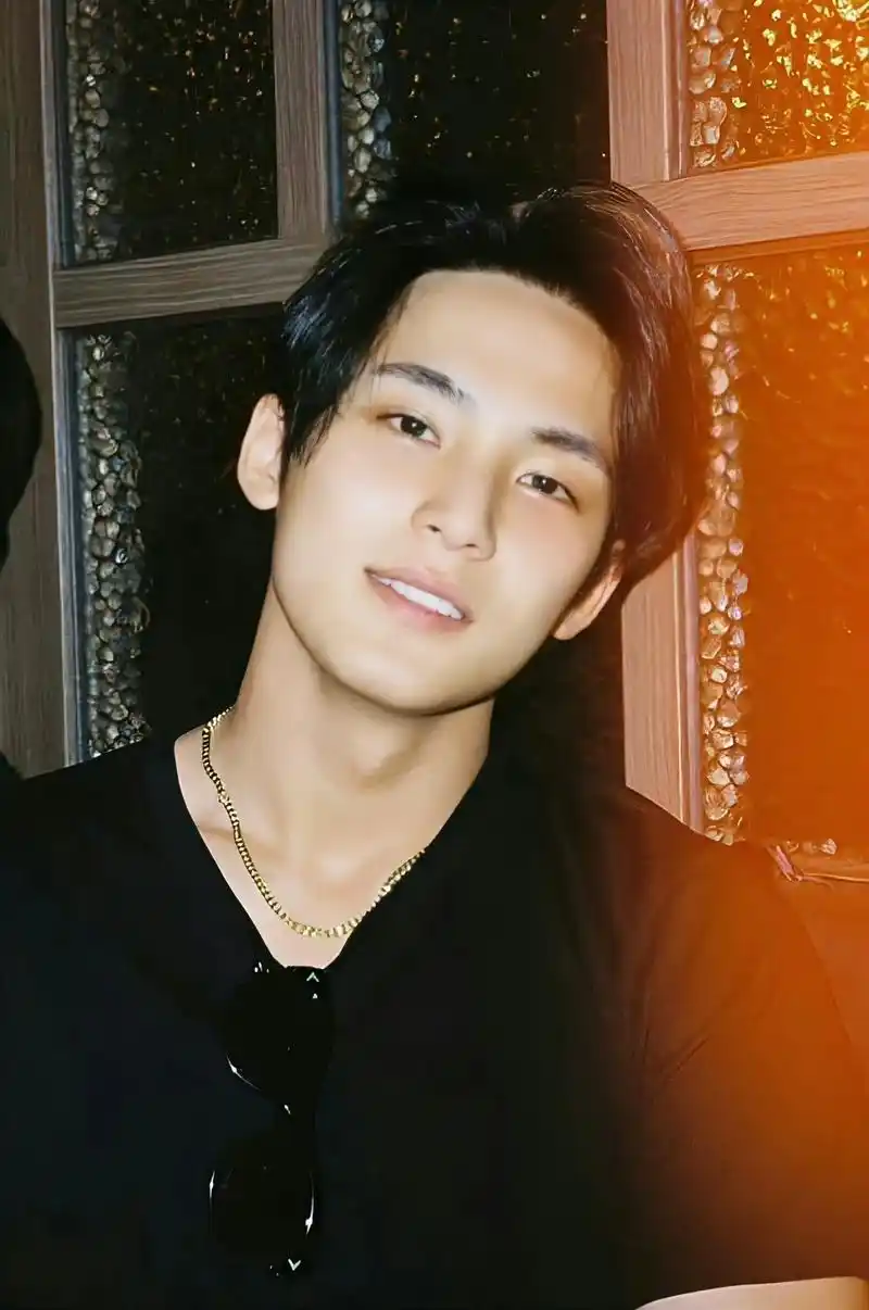 复古港风奎.喜欢喜欢 狗瘾犯了#金珉奎 #seventeen - 抖音