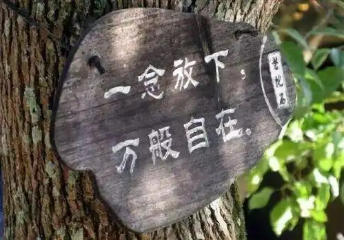 放下过去,让心归零!