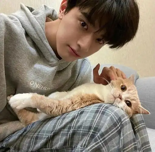 帅帅的男生头像他来了他来了微信头像