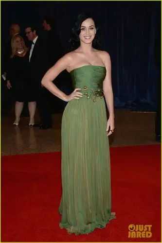 凯蒂佩里爆乳装亮相白宫晚宴