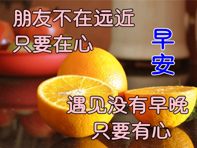 清晨问候大家早上好的漂亮鲜花图片,早上好温馨祝福语录图片