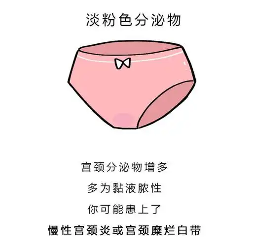 女生的内裤到底有多脏