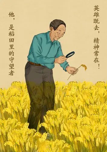 湖南工程学院海报寄哀思插画还原稻田梦