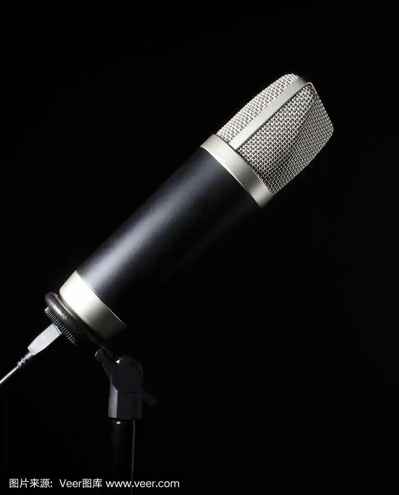 黑色卡拉ok麦克风