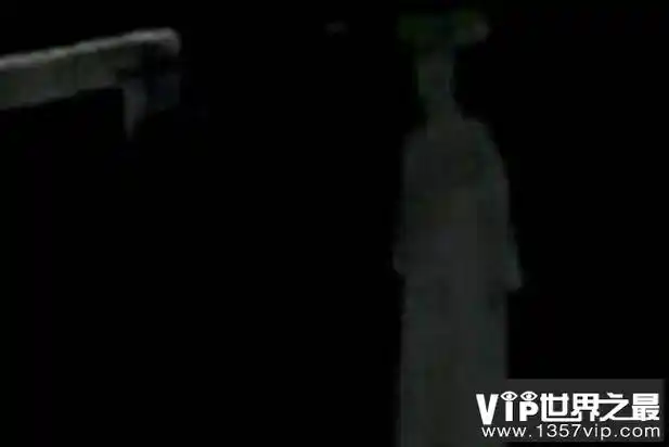 故宫闹鬼事件 故宫鬼影是真的吗