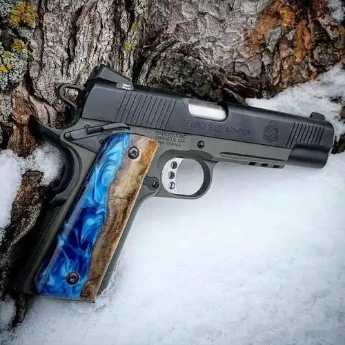 有多少爱可以重来springfieldarmory枪械美图欣赏