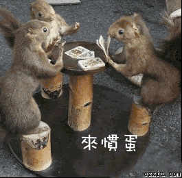 想玩掼蛋?那就来溪南社区参加掼蛋比赛吧!