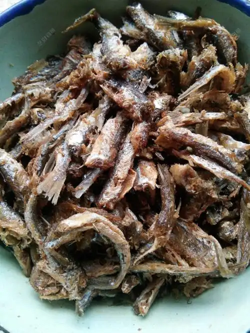 [春季探钓]垂钓快餐:速拉白条 - 好钓鱼