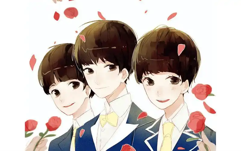 楼主永不脱发,所以选tfboys!