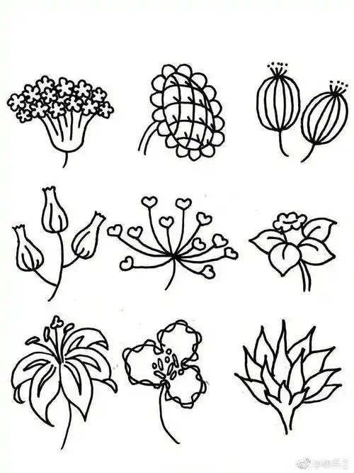 花卉简笔画 - 堆糖,美图壁纸兴趣社区