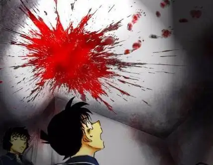 柯南正式进入1000话大关,名侦探新一血天花修学旅行!