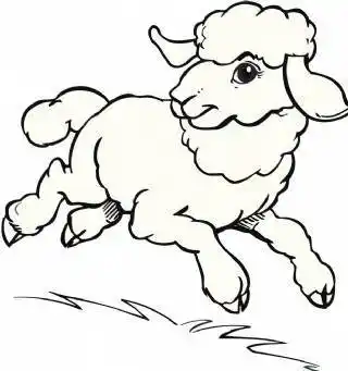 最简单画羊的简笔画 儿童画羊简笔画