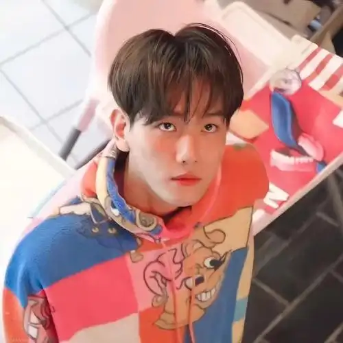 边伯贤头像第十四弹candy