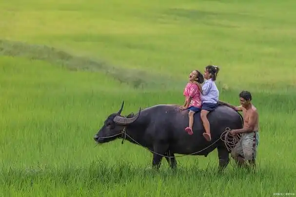 80后,那时候的农村是天然的游乐场,孩子多,而且生活条件也开始变得
