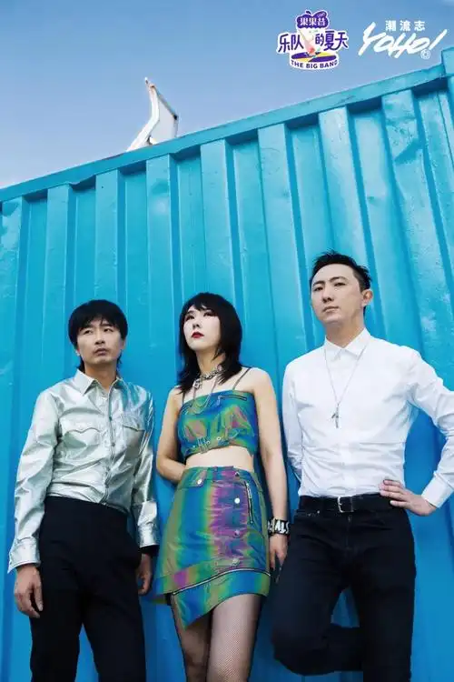 新裤子    盘尼西林乐队